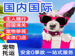 无锡航空物流国际宠物托运 【国